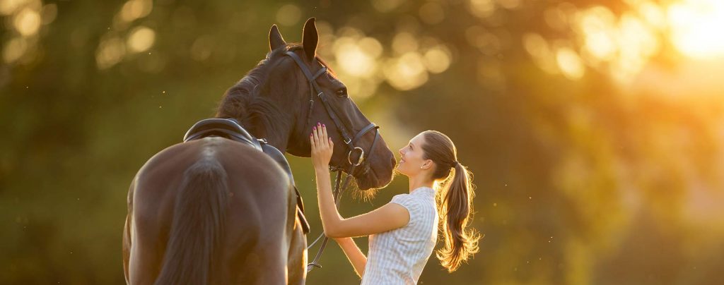 Large Animal Preventive Care in Johnson City TN